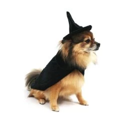 Midlee Halloween Witch Cape and Hat Dog Costume -Pet Halloween Costumes Sales Store GUEST 0fdf5b1b bd52 4451 9cea 3f20e8efe4d3