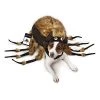 Zack & Zoey Fuzzy Tarantula Costume for Dogs -Pet Halloween Costumes Sales Store GUEST 247b4f80 354a 4d67 a86f 37608edaa05c