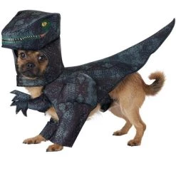 California Costumes Pupasaurus T-Rex Pet Costume, Medium