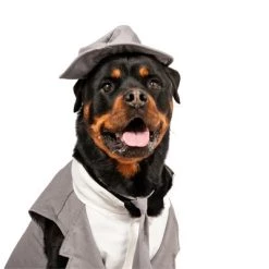 Midlee Dog Tuxedo Wedding Suit- Gray Top Hat & Leash -Pet Halloween Costumes Sales Store GUEST 42b16443 0f65 4832 984a 6c4ee08aabb0