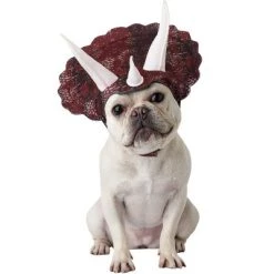 California Costumes Triceradog Pet Costume, Large