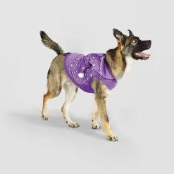Basic Halloween Velour Wizard Cat and Dog Hoodie - Hyde & EEK! Boutique™ 17 Basic Halloween Velour Wizard Cat and Dog Hoodie - Hyde & EEK! Boutique™ -Pet Halloween Costumes Sales Store GUEST 55bd14ed 6490 4eca 89d6 43a8245cee7c
