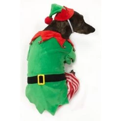 Midlee Dog Elf Costume -Pet Halloween Costumes Sales Store GUEST 60f384f0 8453 44fc b261 48ed3fdba815