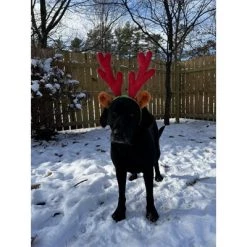Midlee Christmas Reindeer Antlers with Ears for Large Dogs -Pet Halloween Costumes Sales Store GUEST 869e1043 d68f 4f5e 9a71 2e5f60c3e61f