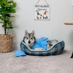 Midlee Scrubs Dog Costume - (XX-Large) 10 Midlee Scrubs Dog Costume - (XX-Large) -Pet Halloween Costumes Sales Store GUEST 8c76f48f 88c1 4c72 800e 8b21c834ab82 1