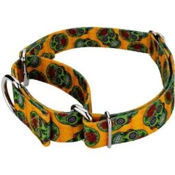 Country Brook Petz Country Brook Design Sugar Skulls Martingale Dog Collar