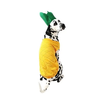 Midlee Pineapple Dog Costume 10 Midlee Pineapple Dog Costume - Image 8