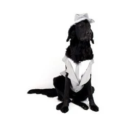 Midlee Dog Tuxedo Wedding Suit- Gray Top Hat & Leash -Pet Halloween Costumes Sales Store GUEST a37e2f9b ecec 4f3c 913c 1e10f6344323 1