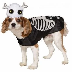 Forum Novelties Skeleton Pet Costume -Pet Halloween Costumes Sales Store GUEST c7f34ea3 cfb6 4f83 8448 64a7480f5030 3