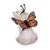 Zack & Zoey Butterfly Glow Harness Costume for Dogs -Pet Halloween Costumes Sales Store GUEST cfa66b9f 7e47 4412 9203 deb1b1b7256a