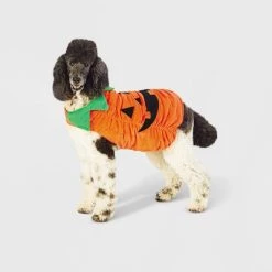 Halloween Plush Pumpkin Dog and Cat Costume - Hyde & EEK! Boutique™ -Pet Halloween Costumes Sales Store GUEST cfbc3f78 0f58 471c ba5c b17b7ba4b810 1