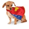 DC Comics Wonder Woman Cape Pet Costume, X-Large 2 DC Comics Wonder Woman Cape Pet Costume, X-Large -Pet Halloween Costumes Sales Store GUEST d9694a98 80ea 4b29 9295 bd7446fbf3df