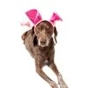 Midlee Dog Pig Halloween Headband Costume with Tail- Large