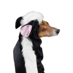 Casual Canine Lil' Stinker Dog Costume